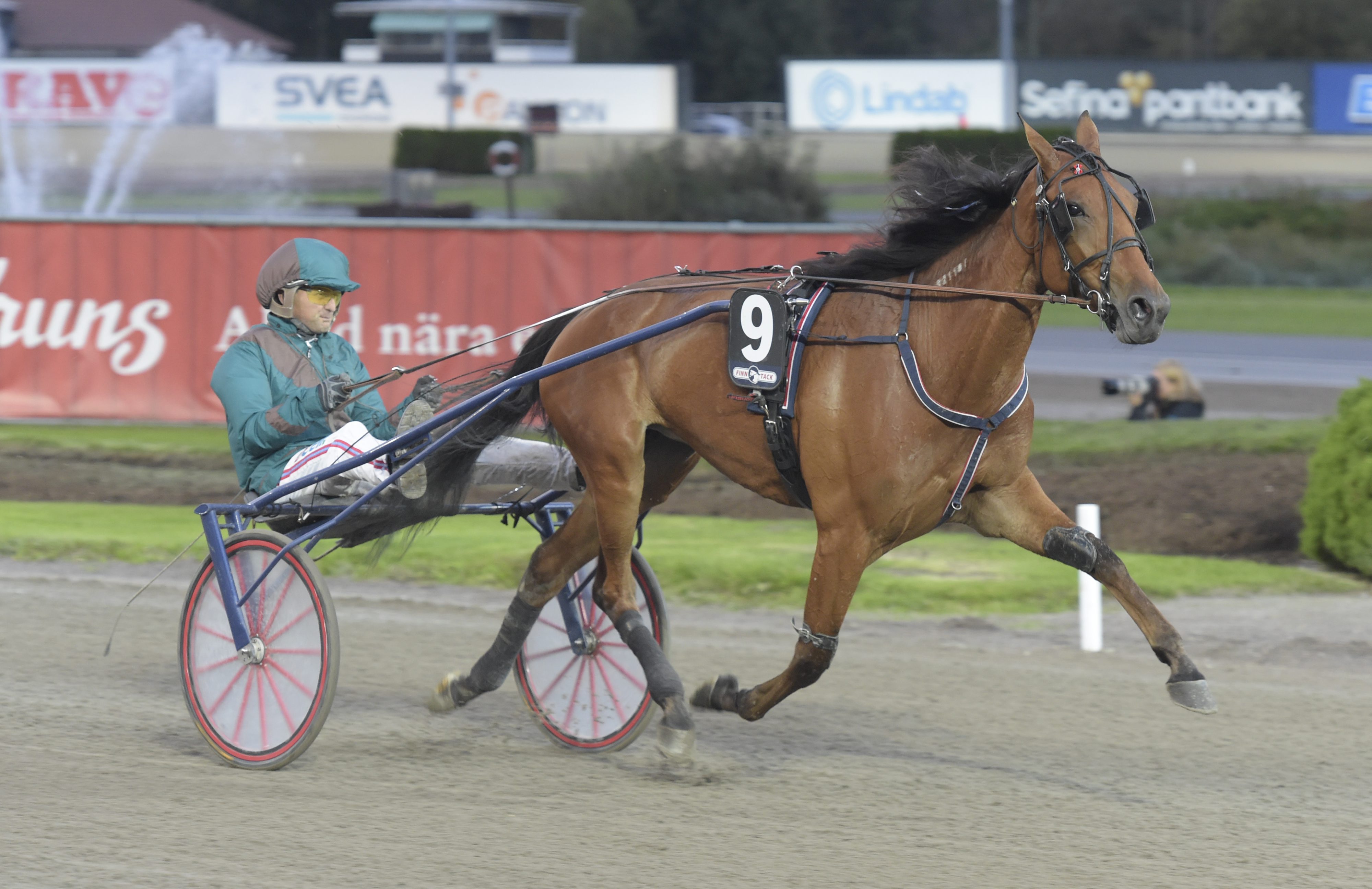 Mamma till Happy Hour är Twist Of Lemon. Foto: ALN Pressbild